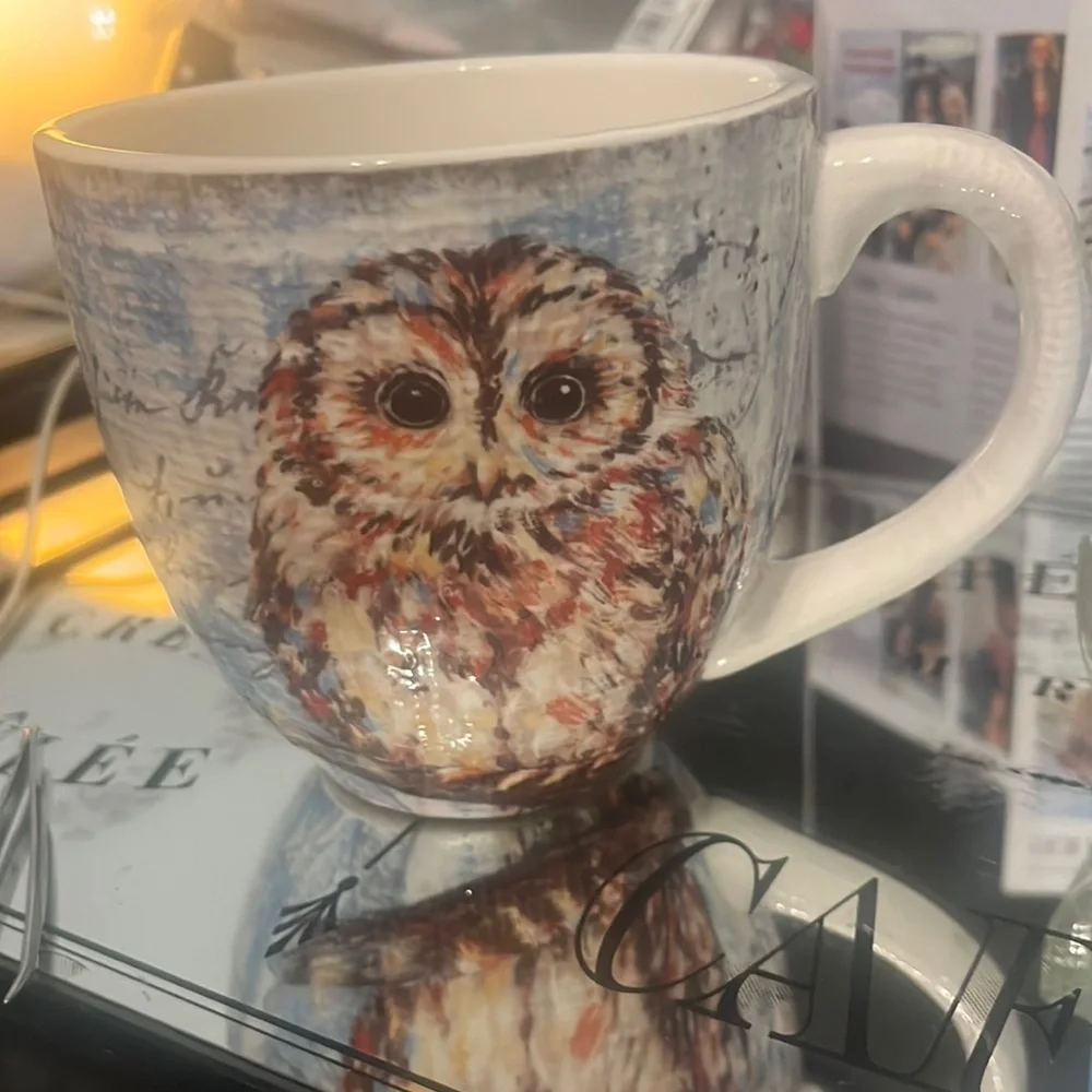 Extra Large Vintage Owl Mug Pier 1 Imports Ironstone Mug